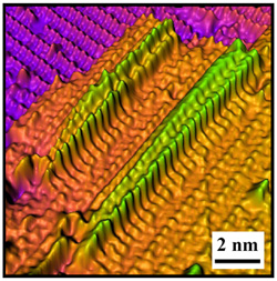 Scanning tunneling microscope image of onedimensional arrays of styrene molecules on a silicon surface. These molecular arrays were patterned with atomic precision using feedback-controlled lithography. Lisa Backus was able to relate these cutting-edge techniques to activities performed by students in her class.