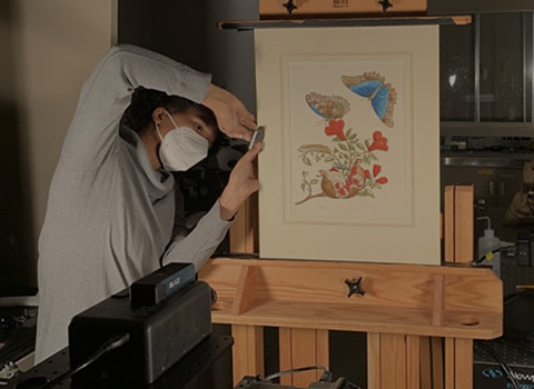 Researcher leans over to adjust print on an easel to be scanned