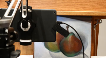 Conservators have noticed these metallic soap protrusions on other oil paintings, as well.