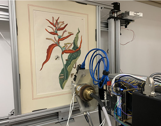 The red Heliconia flower (Plate 54) from Metamorphosis insectorum surinamensium where cadmium red was suspected, analyzed with macro X-ray fluorescence (MA-XRF) scanning technology.