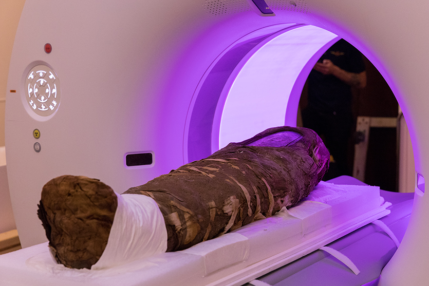 The 1900-year-old mummy of a young girl resides in Garrett Theological Seminary but was taken to Argonne National Laboratory for an all-day X-ray diffraction scan to learn more contextual information about her bones and what's inside her wrappings.