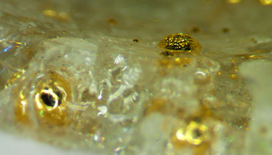 In testing the technique for precious metals purification processes used at the medieval West African site of Tadmekka, Center researchers used sand from Lake Michigan to simulate the materials from the medieval Saharan desert.